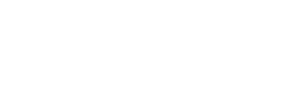 light logo